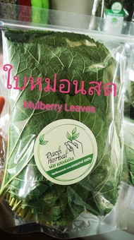 ใบหม่อนสด(Mulberry Leaves)ปลอดสารพิษ จำนวน 50 ใบ