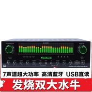 5 Channel Power Amplifier Household High Power Power Amplifier KTV Professional Fever Subwoofer Numb