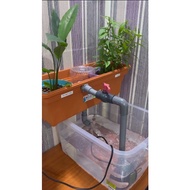 AKUAPONIK / AQUAPONICS : AQUAPONIK EBB & FLOW ABM RBT UNIT TINGKATAN 2 / FORM 2