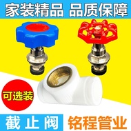 Check Valve Core ppr Valve Core Check Valve Circlip Lift Valve Core Wholesale 20 25 32 Copper Valve 