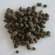 [50gram] Wu Ling Zhi Flying Squirrel Feces/ - [ [ 五动 ] - Feces Trogopterori Seu Pteromi