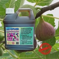 [2 Liter] Baja Tanaman BMO Fertilizer, Baja Subur, Baja Buah, Baja Bunga, Baja Folia