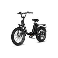 Baicycle U03 Adult E-Bike 1200W Peak Brushless Motor Maximum speed 28 mph