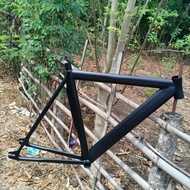 Frame Fixie custom visp solois modern