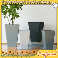Simple square high-tube resin flower pot for single-stem phalaenopsis orchids, square tall plastic f