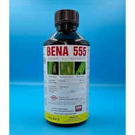 1L Bena 555 / Bena Hijau / Bena Perang / Pianggang / Belalang / Lelompat Daun / Kutu Beruang