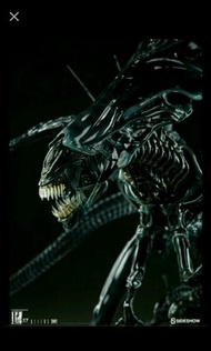 100%全新啡盒未開 sideshow alien queen muquette