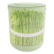 Plastic Auto Bean Sprouts Maker Bean Sprouts Machine Double Layers Automatic Bean Sprout Box for Soy