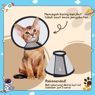 Ready Dog Cat Neck Protector Pet Collar Cone Funnel Cat Dog Neck Protector Elizabeth Collar Head Cov