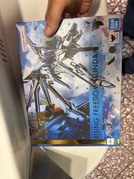 bandai METAL ROBOT 魂 超合金 GUNDAM SEED FREEDOM RISING FREEDOM 飛昇自由高達 figure