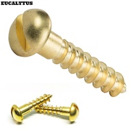 EUCALYTUSS Wood Screws  Chipboard Slotted Drive Self Drilling Solid Brass