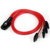 StarTech.com 50cm SFF-8087 to 4x SATA - Internal Mini SAS to SATA Reverse Cable - internal Mini SAS 