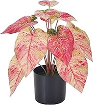 Aphighjoy Fake Potted Pink Caladium Plants - Artificial Plants Indoor 15.8" Faux Taro Plant in Pots for Home Decor Office Desk Bathroom Bedroom Greenery Decoration