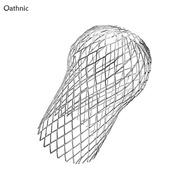 Oathnic Metal Meshes Gutters Leaf Debris Mud Trap Guards Drain  Cover Downpipe Caps