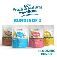 [3-in-1] Nanimom Baby Food Powder Blooming Kit (Ikan Bilis / Chicken / Mushroom / Chicken Vegetable) on