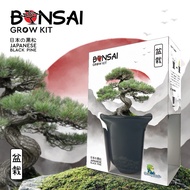 Grow kit: S Bonsai