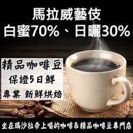 Malawi Geisha White Honey 70%, Sun-Dried 30% < Specialty Coffee Beans X Freshly Roasted Orders > Fre