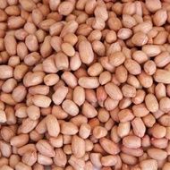 KACANG TANAH INDIA UKURAN 1 KG / KACANG TANAH SUPER / KACANG TANAH PILIHAN