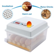 220V 16/36/48/64 Breeding egg incubator Digital automatic incubator Fully automatic breeding egg incubator Constant temperature egg incubator