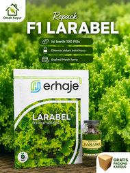 [REPACK-100 Pills] Benih Selada Bejo LARABEL Benih Lettuce Batavia By Bejo Seeds Kemasan Repack 100 