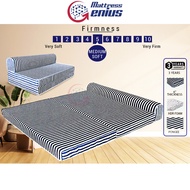 Mattress Genius Mimo Queen Foam Mattress Foldable Mattress Thick 6 Inch / 2 Seater Sofa Bed (Blue/Red/Green Stripe)