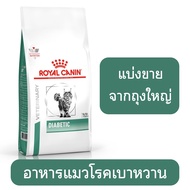 ((แบ่งขาย)) Royal Canin Diabetic cat อาหารแมวโรยัลคานินสูตรเบาหวาน