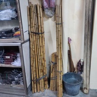 Yellow Bamboo Stick - Yellow Bamboo Scout Stick