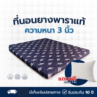 นิยม ที่นอนยางพาราอัดเเท้100% หนา 3 นิ้ว แถมหมอนยางพารา Fadell Latex 3 โกโก้ 3 ฟุต แถมหมอน