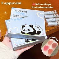 A020 Cappuvini Lipstick Velvet Mud Texture Cute Panda Pattern Beautiful Gentle Tone For Eyes Cheeks 