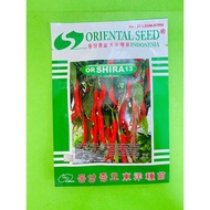 Terbaik!! Benih cabai merah besar f1 or SHIRA 13 isi 10gr dari ORIENTAL SEED