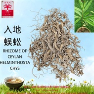 入地蜈蚣  倒地蜈蚣 蜈蚣草 倒麒麟 地蜈蚣 保证优质中藥材 【李氏人 CYLEE】Rhizome of Ceylan Helminthostachys