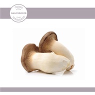 Fresh King Oyster Mushroom Cendawan 150gram Fresh Vegetables