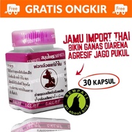 OBAT LUKA DALAM AYAM KERING CHAMP BANGKOK IMPORT KAPSUL AYAM PASCA TARUNG OBAT LUKA DALAM AYAM JAGO 