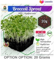 Benih Microgreen Seeds Broccoli Sprout - Soon Huat Seeds