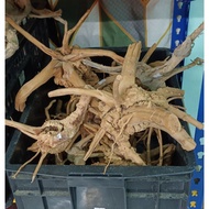 spider wood driftwood for aquarium decoration  30cm to 50cm