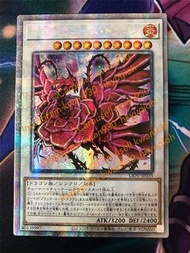 遊戲王卡 1104 白碎 PSER 紅蓮玫瑰龍 薔薇龍