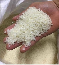 5kg gạo Nhật loại VIP làm sushi KimBap cơm trộn..