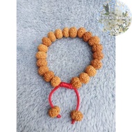 Rudraksha Mukhi Jenitri Bracelet 8 Lines 8 Blessings_Always