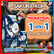 🔥ซื้อ 1แถม 1❗ทุกสูตร💥 อาหารปลาคาร์ฟซากุระโค่ย (Sakura Koi) 6.5 กก. และ 4 กก.