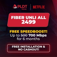 PLDT Fiber Netflix Plan 2499 Application