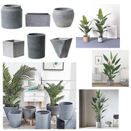 [Cement pot 1-8] plant pot planter box Cement Plant Pot Flower pot Indoor Outdoor Big Plant Garden