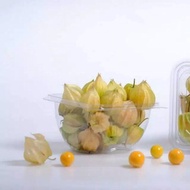 buah ciplukan organik fresh 1kg