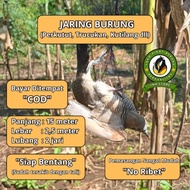 DOVE NET DOVE NET DOVE NET NET FOR DOVE NET FOR DOVE NET FOR DOVE NET FOR LARGE BIRD NET FOR LARGE B