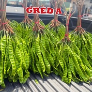 Petai Kampung Seikat/Petai Fresh/fast Delivery