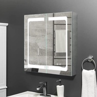 Bathroom Lighting LED Mirror Cabinet, Stainless Steel Wall Mounted Medicine Cabinet with Cooling,