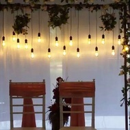 Terlaris Lampu gantung dekorasi indoor / outdoor / panjang 3m 9 juntai