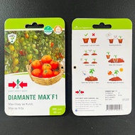 EAST WEST HYBRID TOMATO SEEDS DIAMANTE MAX F1/JEWEL F1/GARNET F1 HOME GARDENING PACK