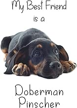 My best Friend is a Doberman Pinscher (Squared Paper): 6" x 9" Blank Quadrille (quad) ruled Journal