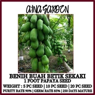 HSK [10pc] BIJI BENIH BUAH BETIK SEKAKI | 1 FOOT PAPAYA FRUIT SEED | BIJI BENIH BUAH