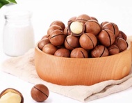 Kacang macademia roasted berat 500gr